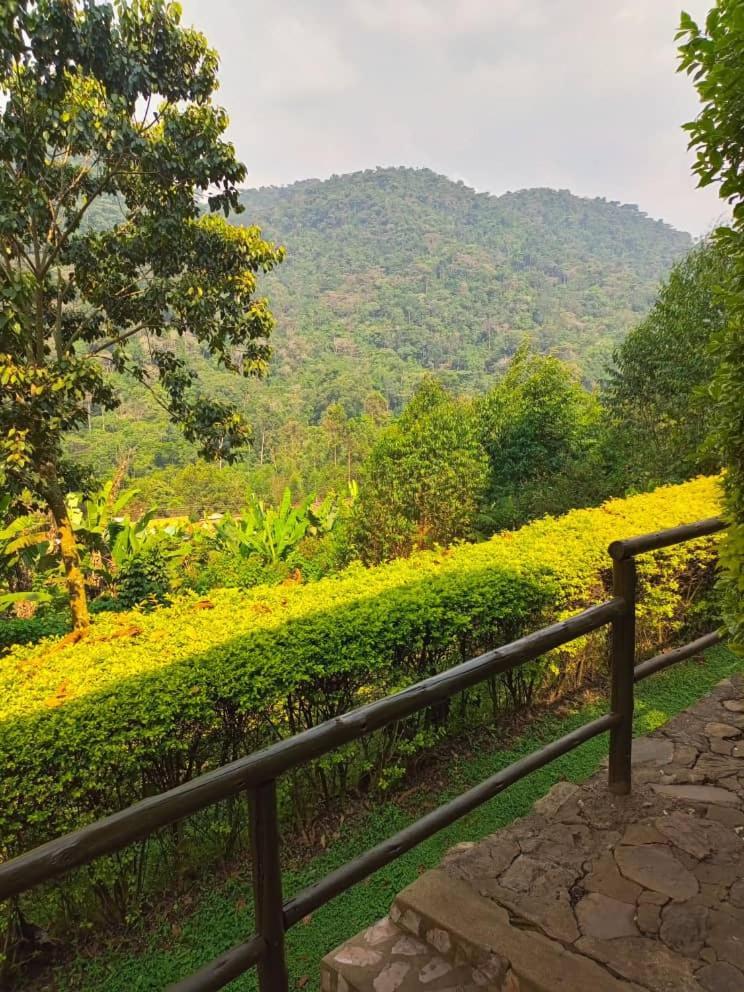 Bwindi Forest Lodge Buhoma Bagian luar foto