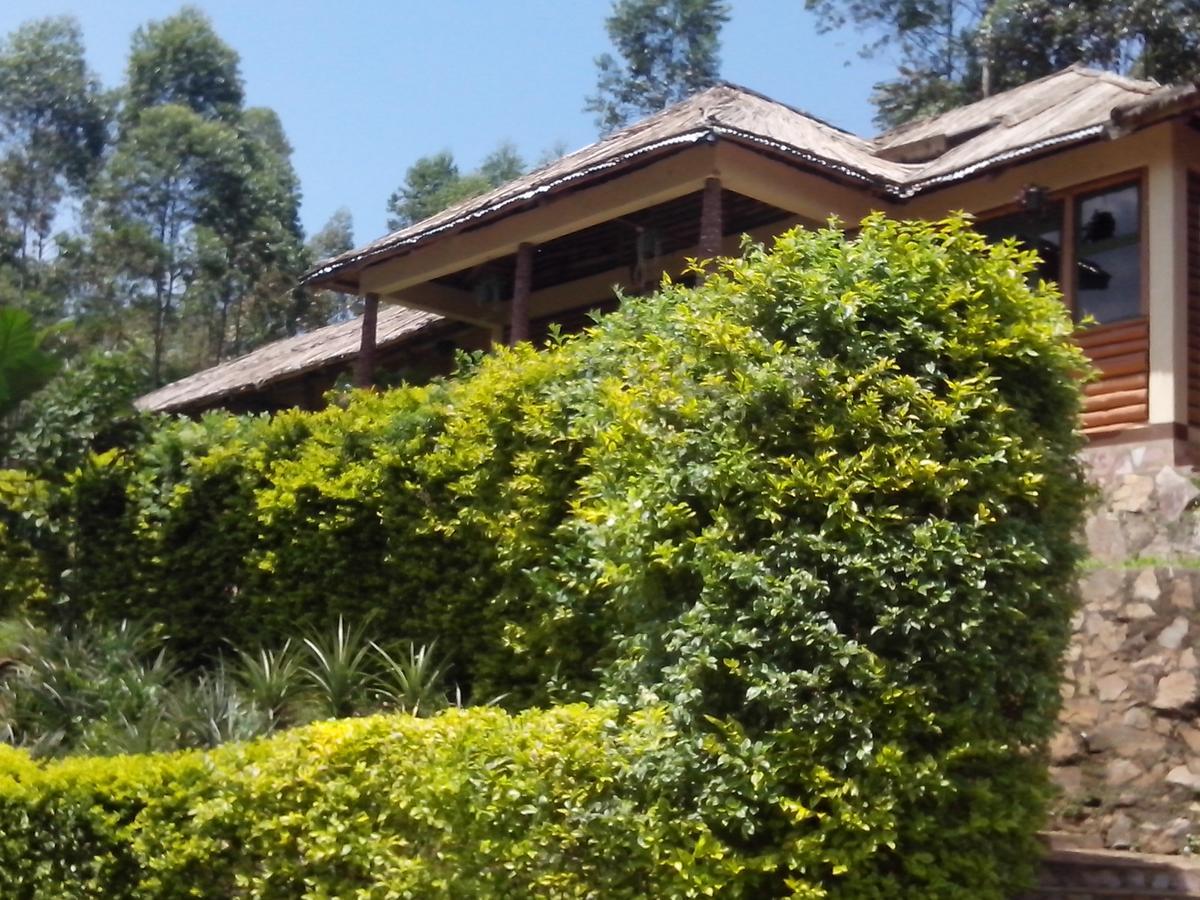 Bwindi Forest Lodge Buhoma Bagian luar foto
